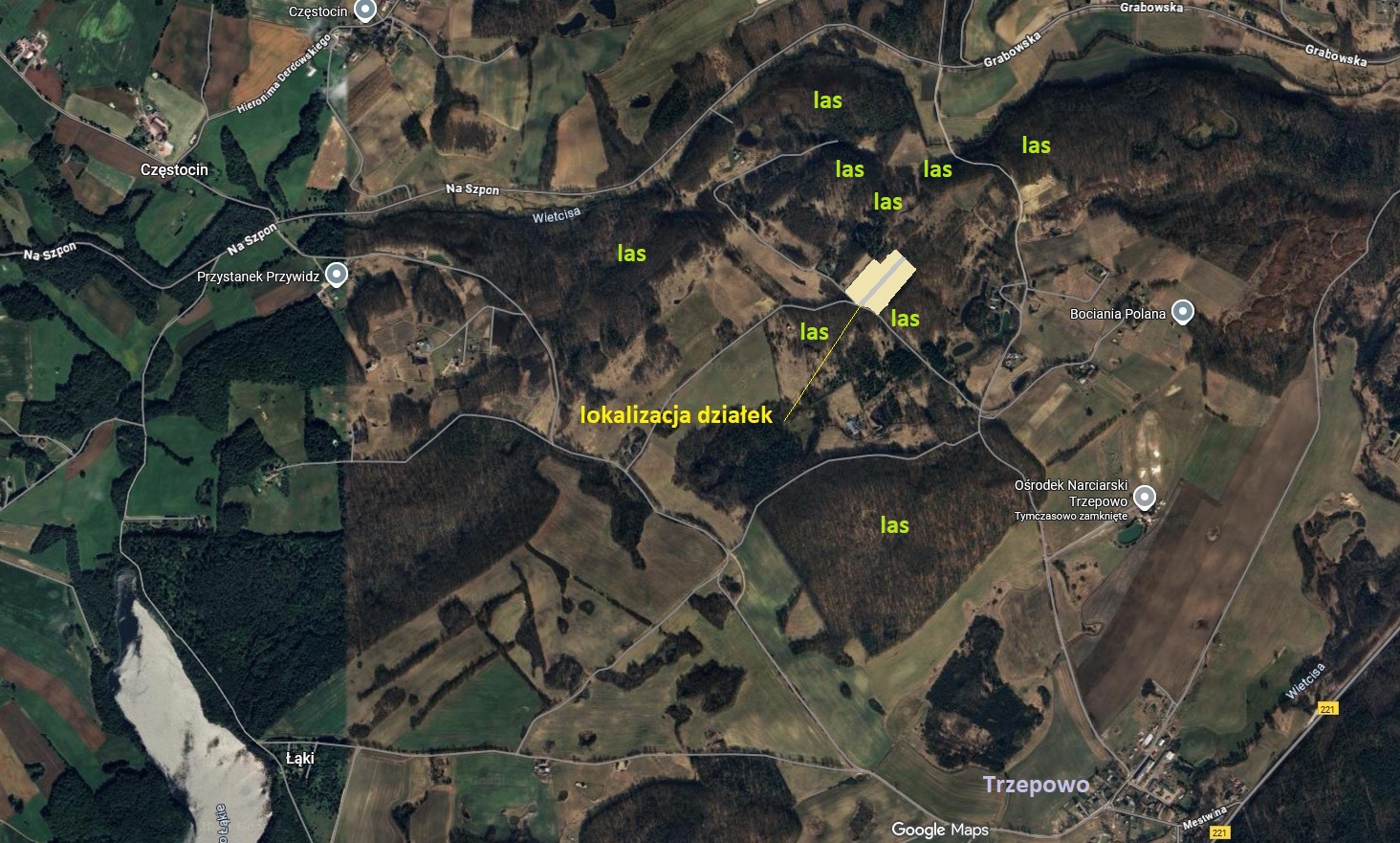 Las bukowy - Otoczenie